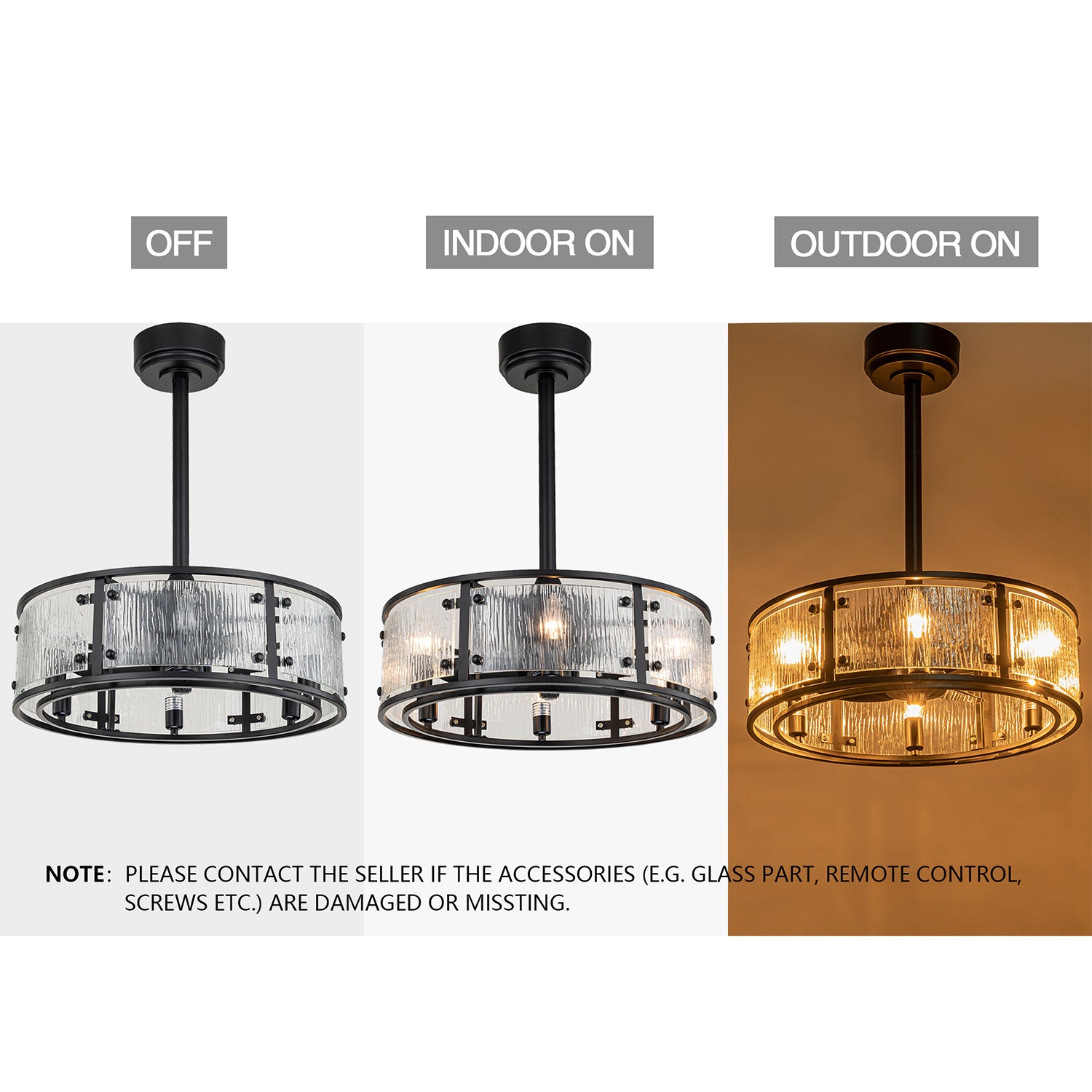 Black Water Glass Caged Ceiling Fans with Light Remote - FTL Outdoor Wall Lighting LED Light Bulbs