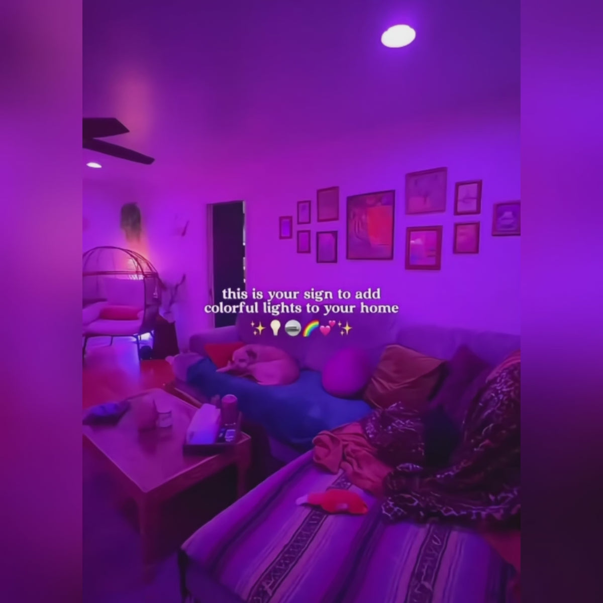 RGB Color Changing A19 8W LED Bulbs with Remote