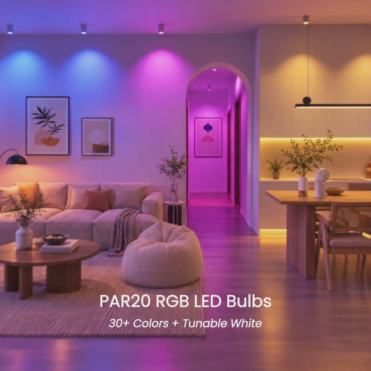 RGB Color Changing PAR20 LED Bulbs with Remote